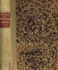 La fisio-patologia del delitto. . Giuseppe Ziino. 1881. .