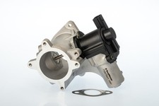 BorgWarner (Wahler) valvola