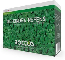 Bottos - DICONDRA REPENS -