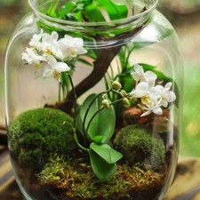  4 pezzi fata realistica erba