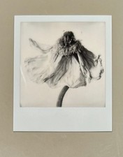 1 x Polaroid, edizione