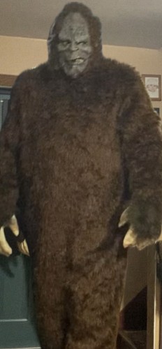 Costume completo gorilla