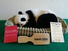 Cucciolo di Panda Perfect