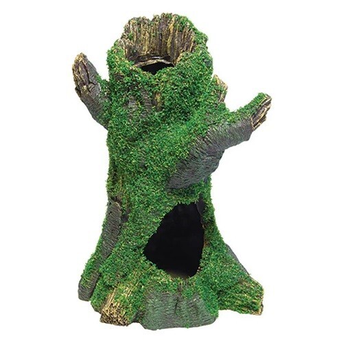 Aquaspectra ceppo albero - ceppo, con