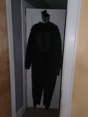 Costume gorilla deluxe da - gorilla,