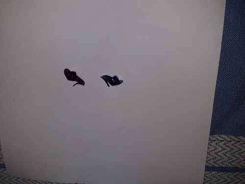 Scarpe singole nera - singole, nera/blu