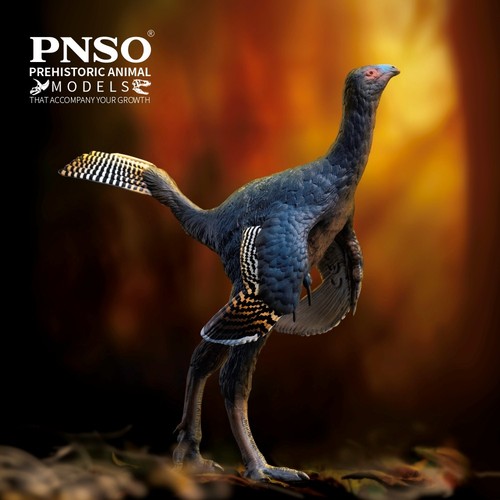 Pnso 2025 junlang the - pnso,
