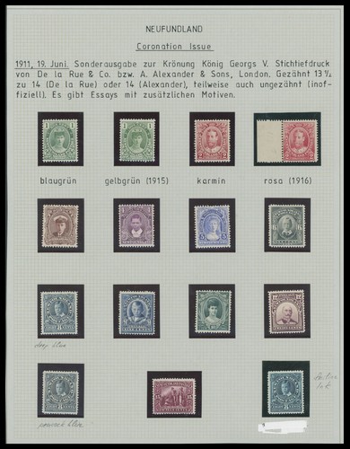 1911 canada terranova king - 1911, canada-terranova