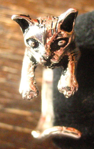 Anello gatto gatto anello