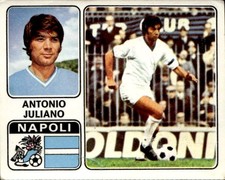 figurina calciatori Panini