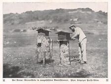 Apicoltura presso Arras - Apicoltura WW1 - 1915 - Immagine storica ~13x10cm