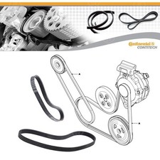 KIT 2 CINGHIA SERVIZI POLI-V