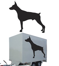 DOBERMAN, Adesivo In Vinile