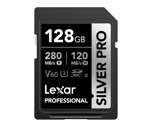 Lexar silver pro scheda - silver, sd