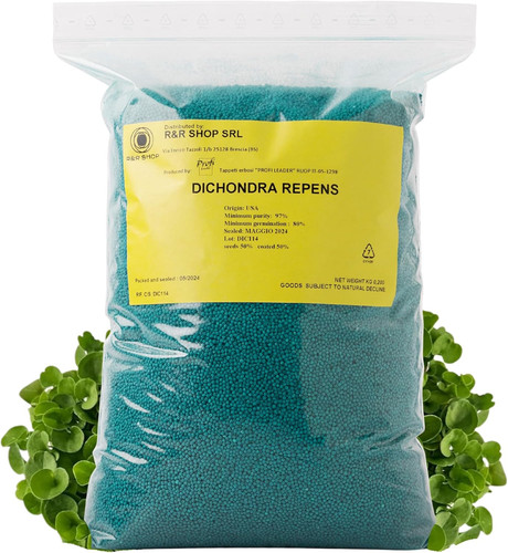 Semi per prato dichondra - -,