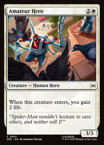 Mtg amateur hero foil exc - mtg,