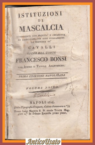 Istituzioni mascalcia - istituzioni,