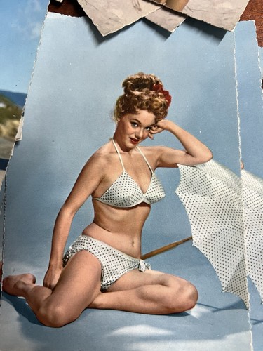Cartoline vintage anni 50 - cartoline,
