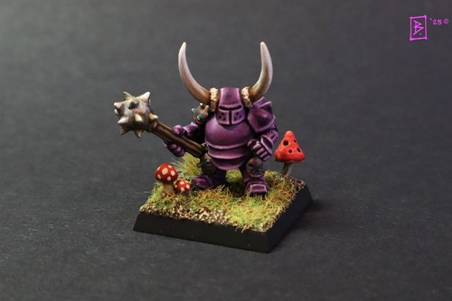 Pro painted chaos dwarf - pro,