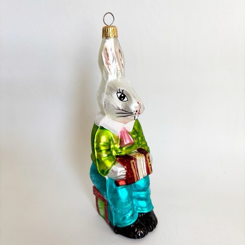 Radko bunny coniglio musica - coniglio,