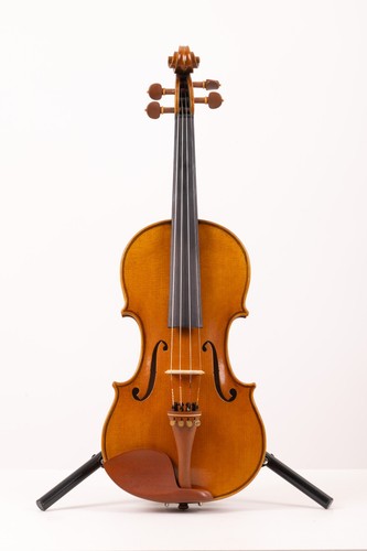 Violino copia su - copia, misure