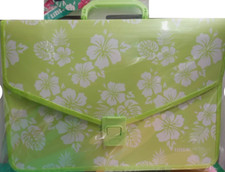 Valigetta portadisegni in ppl