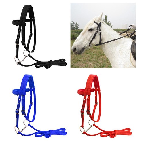 Testiera per cavallo