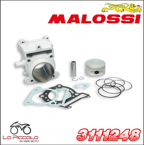 3111248 malossi gruppo termico - 3111248,