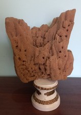 Bellissima Spugna Di Mare Con Supporto In Legno Laccato.