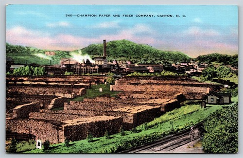 North carolina canton - canton, champion