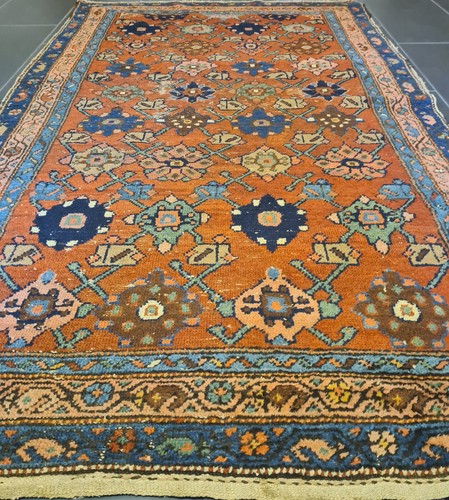 Tappeto orientale annodato - , a