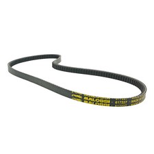 MF1134 Cinghia Malossi Special