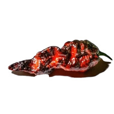 Rouge noire peperoncino - rouge, e