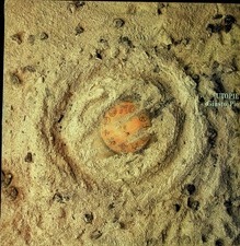 Lp - Giusto Pio – Utopie