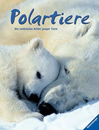 Hélène montardre polartiere - montardre:,