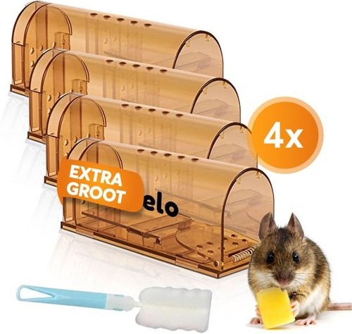 Trappole per topi - -, animal