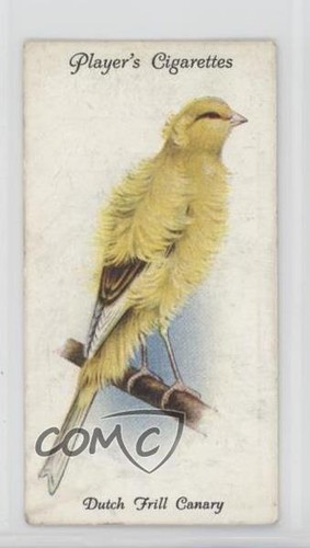 1933 giocatore aviaria - 1933,