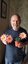 Echinopsis-TRICHOCEREUS
