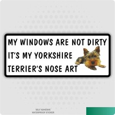 My Windows Are Not Dirty It's