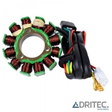 ✅ Statore alternatore