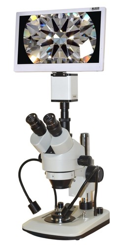 Microscopio stereo darkfield - microscopio,