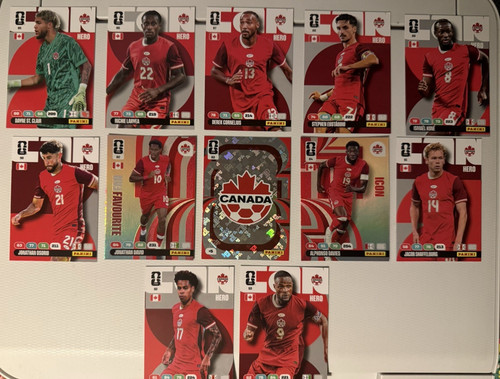 Panini adrenalyn fifa world - panini,