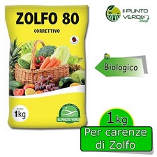 Zolfo polvere 1 kg - zolfo,