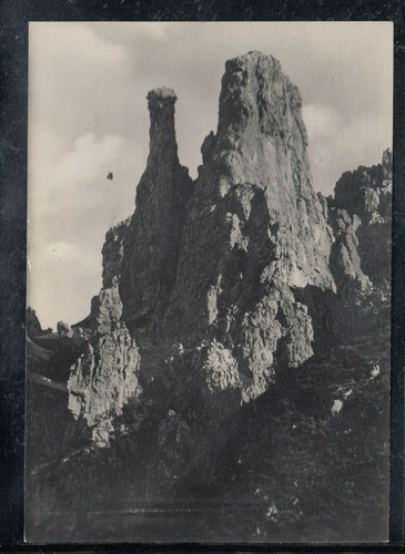 Cartolina fungo la torre - e,