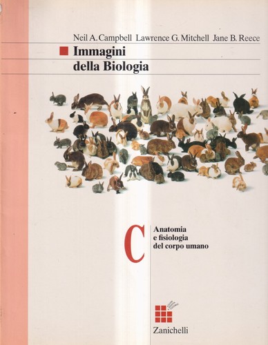 Immagini della biologia - immagini,
