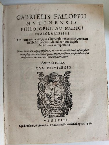 Cinquecentina falloppio - cinquecentina-,