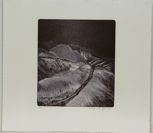 Evelyn dufour acquaforte - evelyn, dufour,