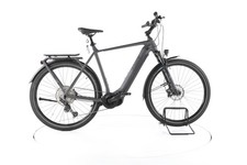 Radon Relate 8.0 E-bike da