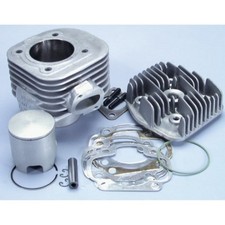 POLINI MOTORI 166.0098/10 GRUPPO TERMICO D.47,6 EVOLUTION SP.10 RALLY SR NEO ARK