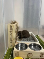 Fieniera Porta Fieno con Lettiera per Coniglio – Mangiatoia in Legno Artigianale